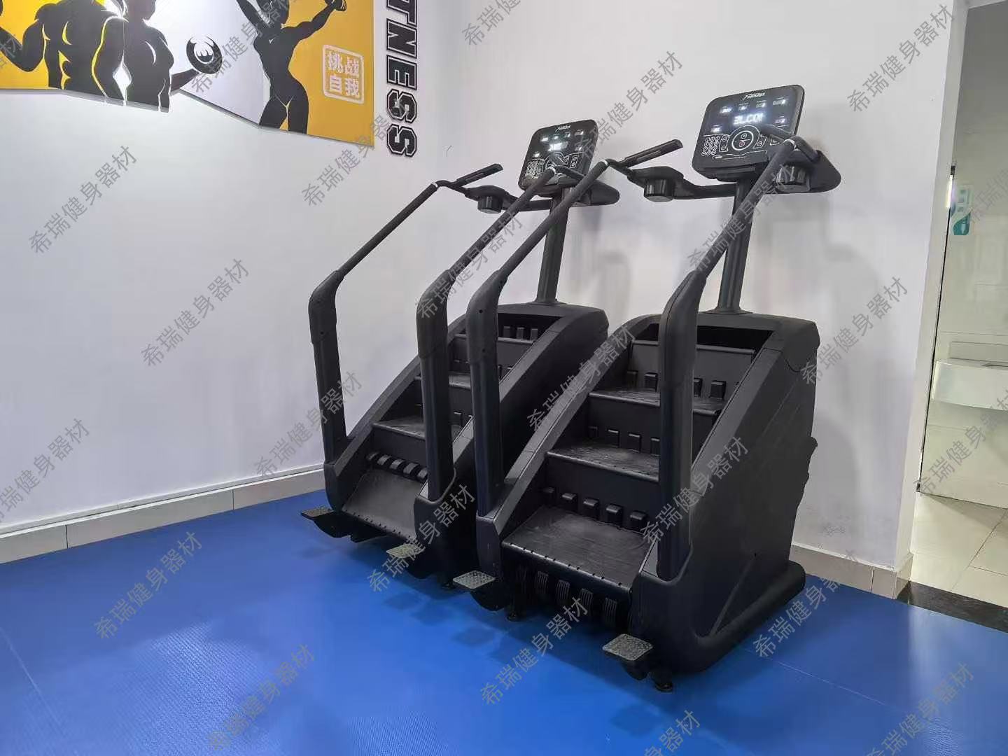 Appareil de cardio-training co - Home Gym Used avis et prix