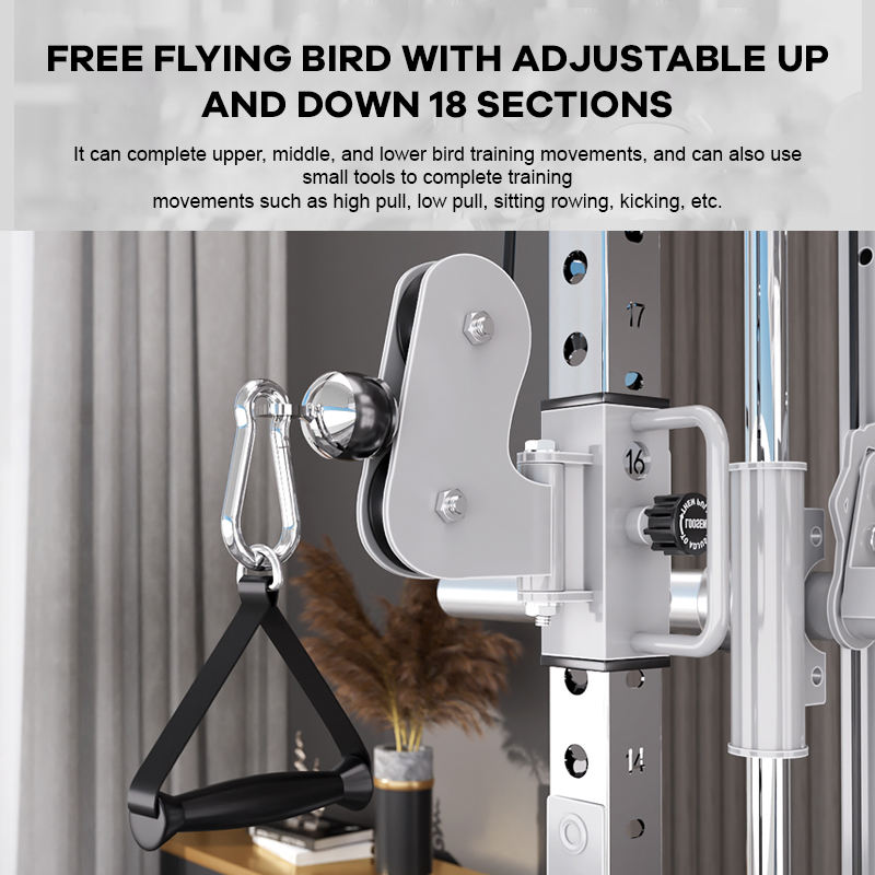 YTYIN Fournisseur d'usine Équi - Home Gym Leg Machine avis et prix